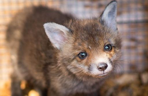 WhatsApp Image 2025-11-05 at 12.36.23