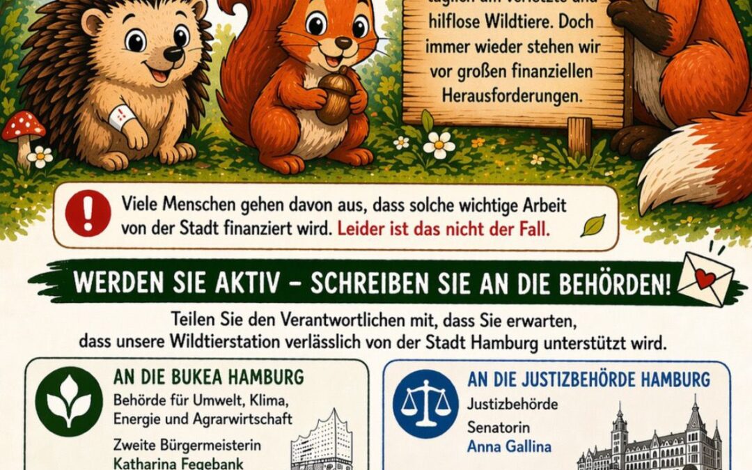 Looki braucht deine Stimme