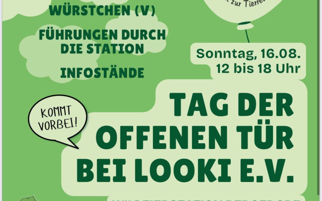 Tag der offenen Tür 2026